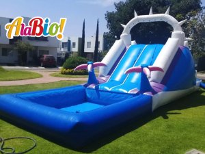 Inflable acuático 